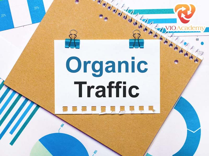 Organic Traffic là gì?