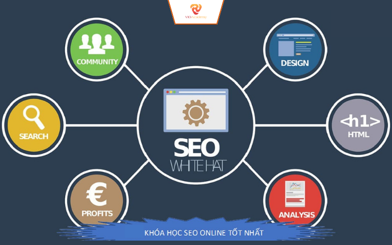 Chương trình đào tạo SEO quận 12 tại Vioacademy