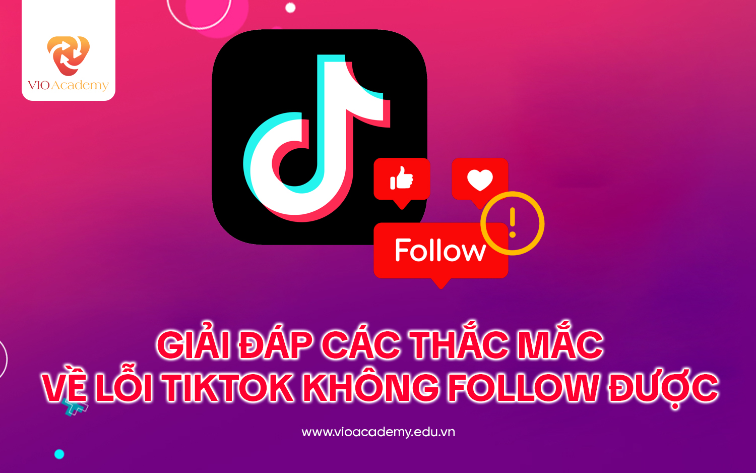 i đáp các thắc mắc về lỗi Tiktok không follow được